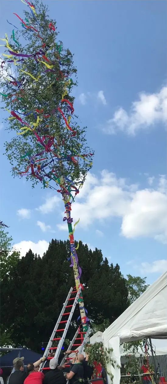 Der geschmückte Widdiger Maibaum