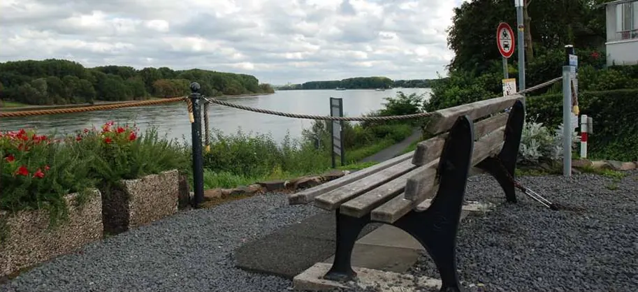 Bank am Rheinufer mit Blick auf den Fluss